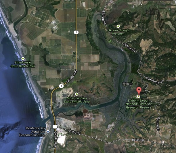 Elkhorn Slough satellite view