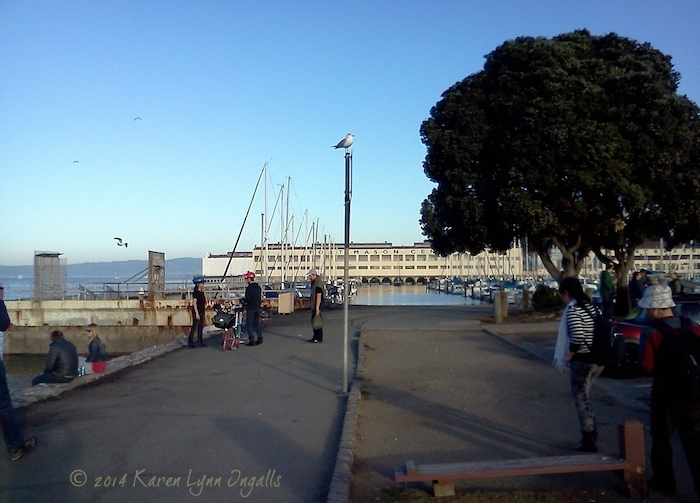 San Francisco Bay Fort Mason